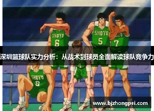 深圳篮球队实力分析：从战术到球员全面解读球队竞争力