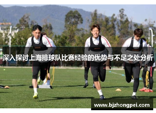 深入探讨上海排球队比赛经验的优势与不足之处分析