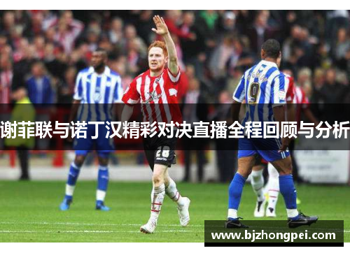 谢菲联与诺丁汉精彩对决直播全程回顾与分析
